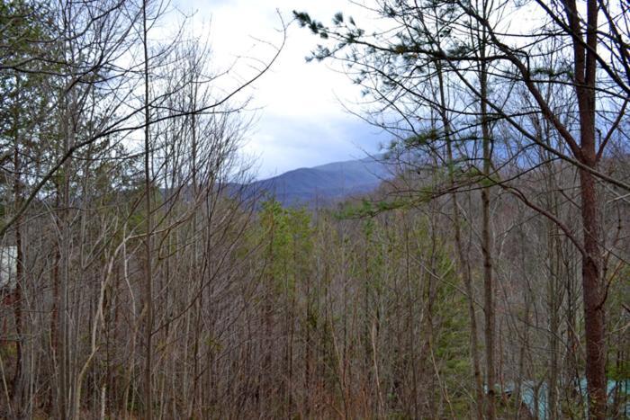 Lost In Love Gatlinburg Bagian luar foto