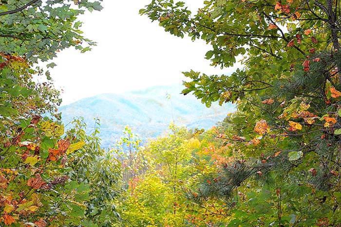 Lost In Love Gatlinburg Bagian luar foto